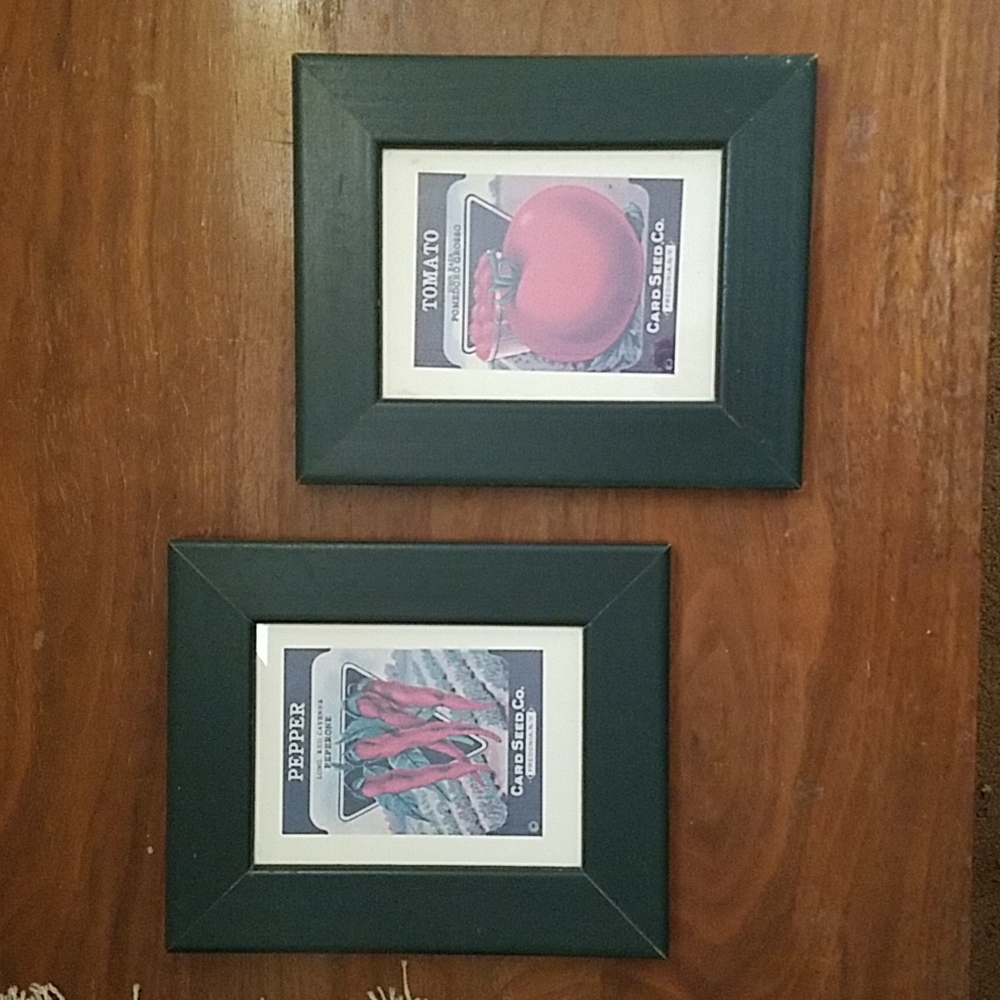 Vintage framed seed pack label art 2 pc New York